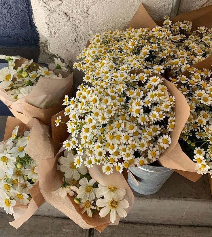 Vintage Whimsy: Timeless Elegance in Flowers